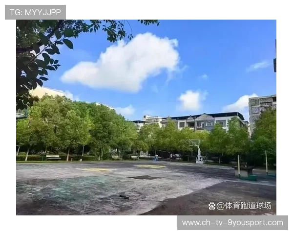 篮球联赛推动场馆绿色节能改造降低运营成本，篮球场改造工程