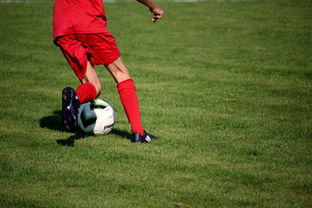 九游娱乐入口-篮球运动员心理素质测评体系构建，篮球运动员心理素质的重要性