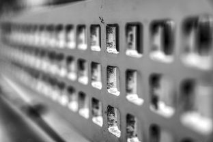 九游体育下载-青少年体质监测结果区域对比研究，青少年健康体质检测中心